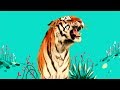 StoryBots | Wild Animal Songs: Tiger, Lion, Zebra, Rhino | Learning Songs for Kids | Netflix Jr