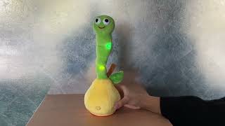 IMG 8891