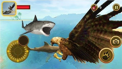 Sea Eagle Survival Simulator: Powerful Eagle On The Sea - Android Gameplay