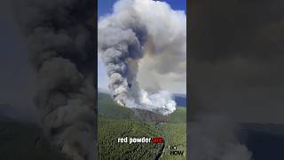 Fire Suppressant Drops: The Red Powder You Must Avoid