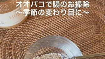 花粉症つらい Youtube