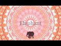 借りてきた〇〇「Elephant」Official Lyric Video