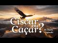 Catedral do Amor 🆕 NOVO – CISCAR OU CAÇAR? – PR FLÁVIO VIRGINELLI