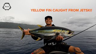 YELLOW FIN TUNA - AHI off JETSKI?! LIVE BAIT!!