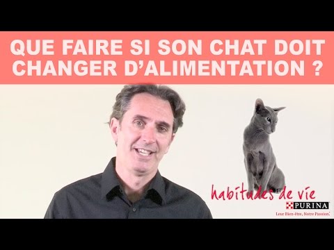 Vidéo: Changer L'alimentation De Votre Chat Ne Résoudra Pas Ses Allergies