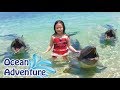 6 Yr Old Swims with Pet Dolphins