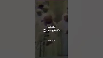 قُلْ مَنْ حَرَّمَ زِينَةَ اللَّهِ || سورة الأعراف || علي جابر