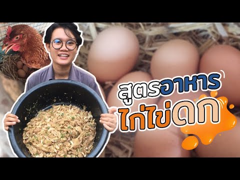 สูตรอาหาร ไก่ไข่ดกขึ้น แน่นอน100%