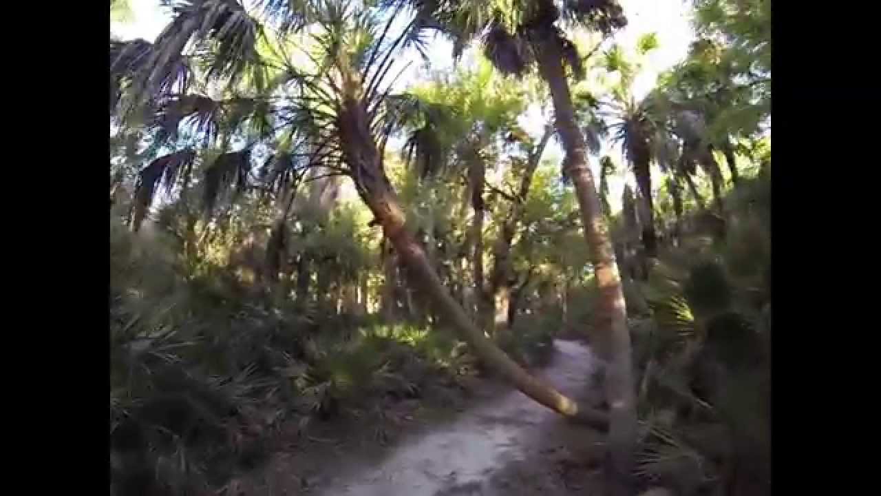 Trail of Highways ™, William S Boyleston Nature Trail Last Part of Trail YouTube