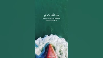 وهو الذي سخر البحر لتأكلوا منه لحما طريا وتستخرجوا منه حلية -سورة النحل الآية ١٤ /القارئ سعد الغامدي