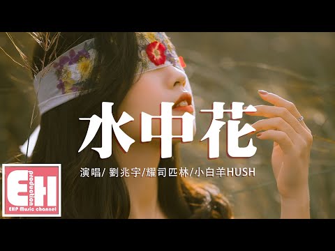 劉兆宇/耀司匹林/小白羊HUSH  水中花『你像是水中花 你像是雲中紗，一片一點落下是我在呼喚你呀。』【動態歌詞Lyrics】