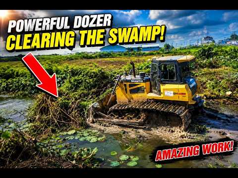 😱 Massive Land Reclamation Update! Bulldozer Working in the Lotus Pond