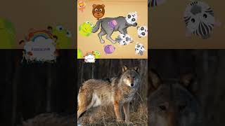 ANIMAL PUZZLE FOR KID'S (WOLF) HAPPY EXPLORE AND LEARNING #english #learning #animals #kids #video
