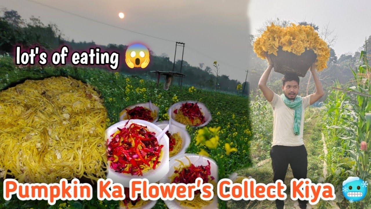 Aaj Toh Sirf Khana Hi Khana 😅 || @kushdvlog || 