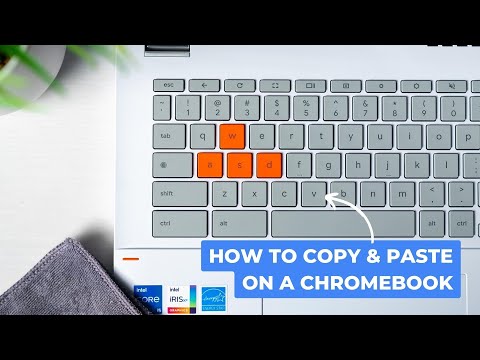How To Copy