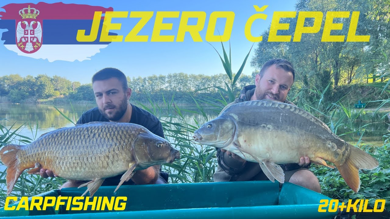 Ribolov Šarana na Jezeru Čepel kod Zrenjanin / Carpfishing Lake Čepel