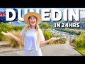 Dunedin in 24hrs  top things to do in dunedin new zealand