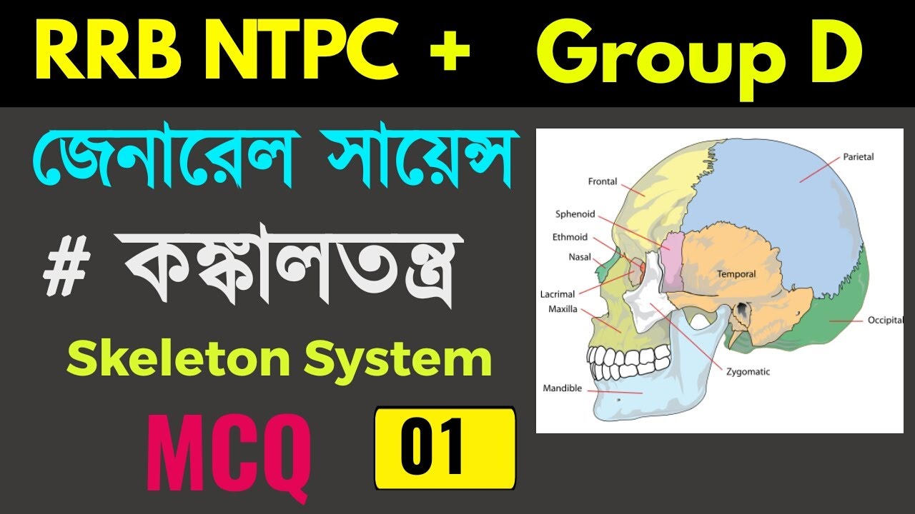 General Science  | Skeleton System 01| MCQ| কঙ্কালতন্ত্র