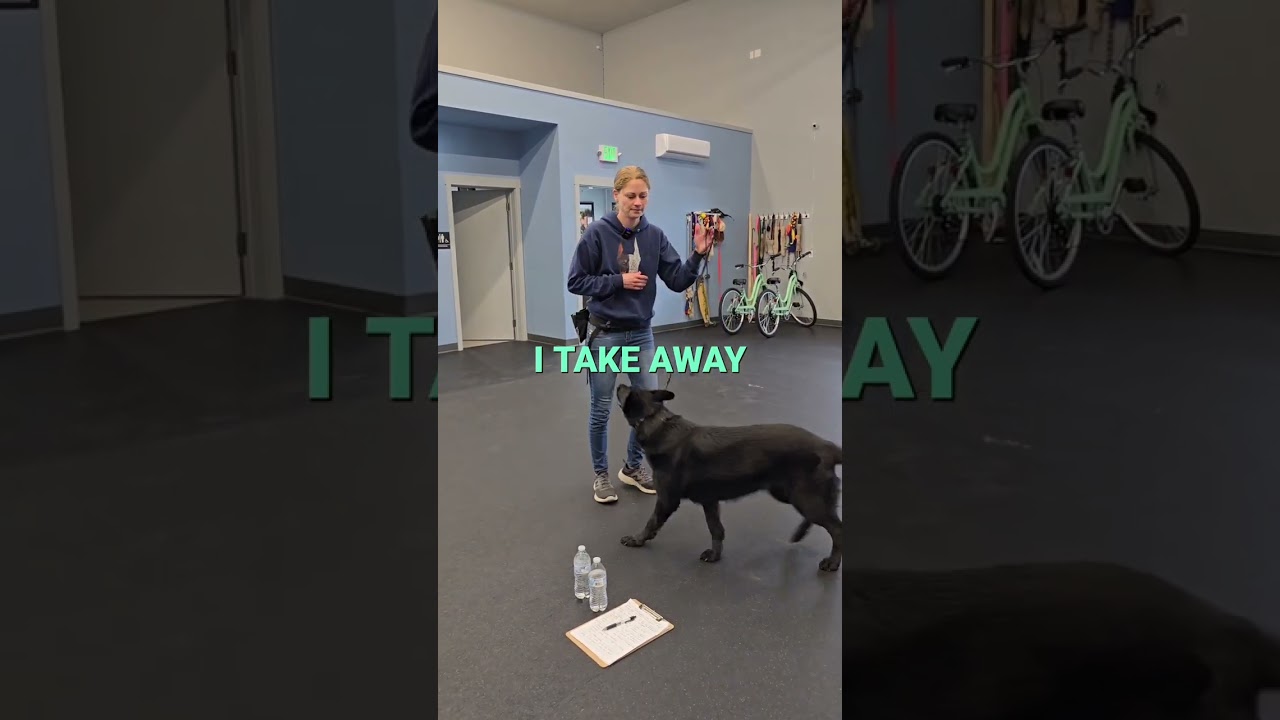 Negative Reinforcement