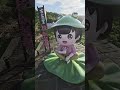 沒想到北海岸也有這種地方！隱藏在三芝田野的夢幻賞荷花秘境