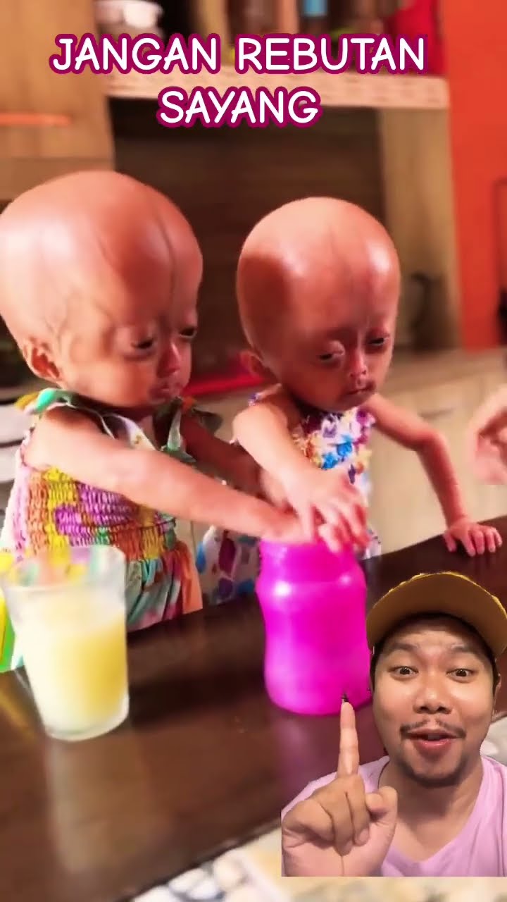 JANGAN REBUTAN DONG SAYANG!!!? #ytshorts #shortsfeed #shorts