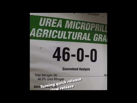 Video: Urea urea: aplikasyon