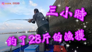 活魚放流 原來魚都躲在這裡 短短3小時 一直咬不停 興達港魚獲驚人 放棍/放流/路亞/磯釣 合興大鮸魚紅槽孔雀蛤