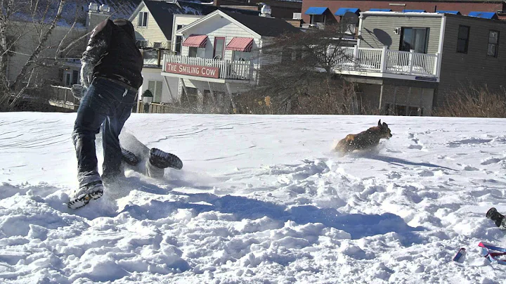 RJP sledding January 2015