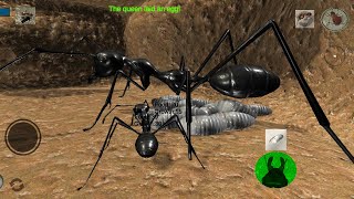 SIMULASI FEED LARVA SEMUT.!!ant simulation screenshot 5