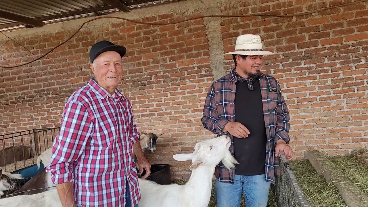 Chivero nos invito asu criadero en tlazazalca mich
