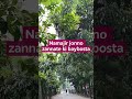 Namajir jonno zannate ki baybosta #shorts #islamicvideo #inspiration #zannat