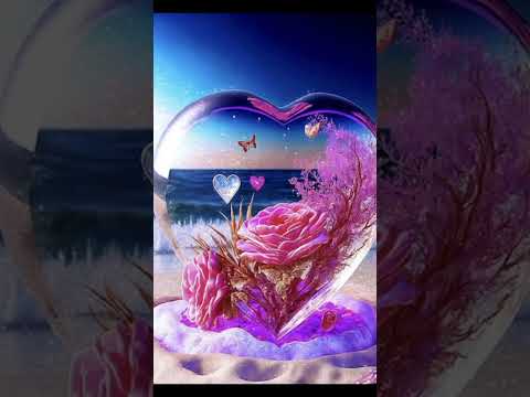 صور كيوت حلوه اوي 