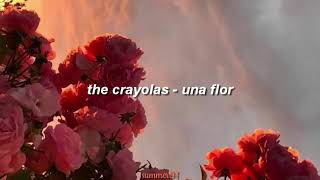 The Crayolas - Una Flor || Letra