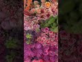 @YouTube @VisitQatar