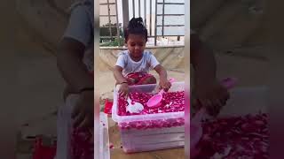 Rose Petal Water Play | Water Play | Rose Flower Activity for toddlers and preschoolers