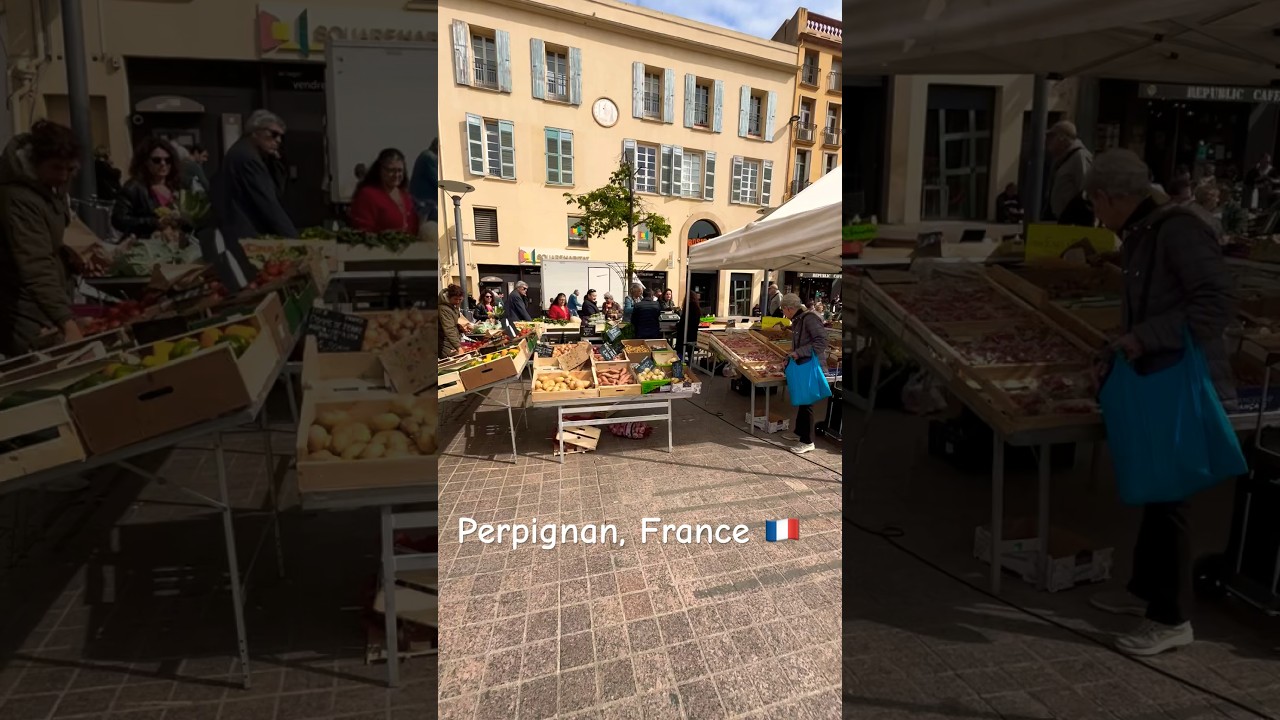 Place de la République market in Perpignan France 🇫🇷