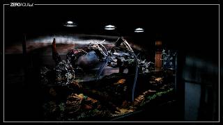 [120cm Aquascape] The Uninvited Guest & Forces of Nature: Overcoming the Trials