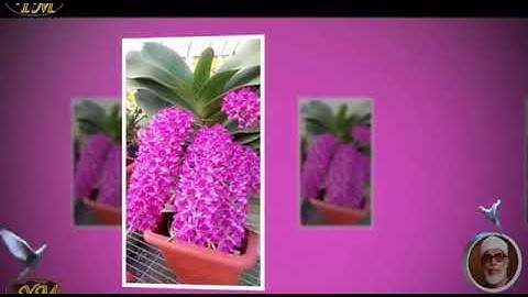 051 Surat AdhDhariyat القران الكريم بصوت محمود خليل الحصري سورة الذاريات