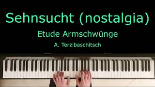 Sehnsucht (nostalgia) - Etude Armschwünge