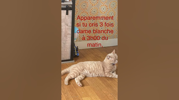 Je vous jure que c’est vrai 😱