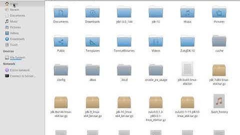 Java 10 (Oracle JDK 10), How to install in Elementary OS 0.4 Loki | Java SE 10