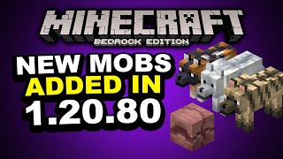 EVERYTHING NEW in Minecraft Bedrock Edition 1.20.80 Update!