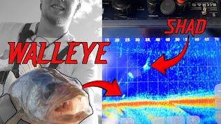 Sharpshooting Fall Walleye with LiveScope
