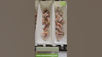 Z bucket elevator with feeder #conveyors #bucketelevator #ztype