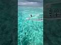 The Ultimate Maldives Secret! 🏝️✨ #Shorts #Travel #shortvideo #shorts