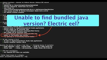 #androidstudio Electric eel: Unable to find bundled #java version