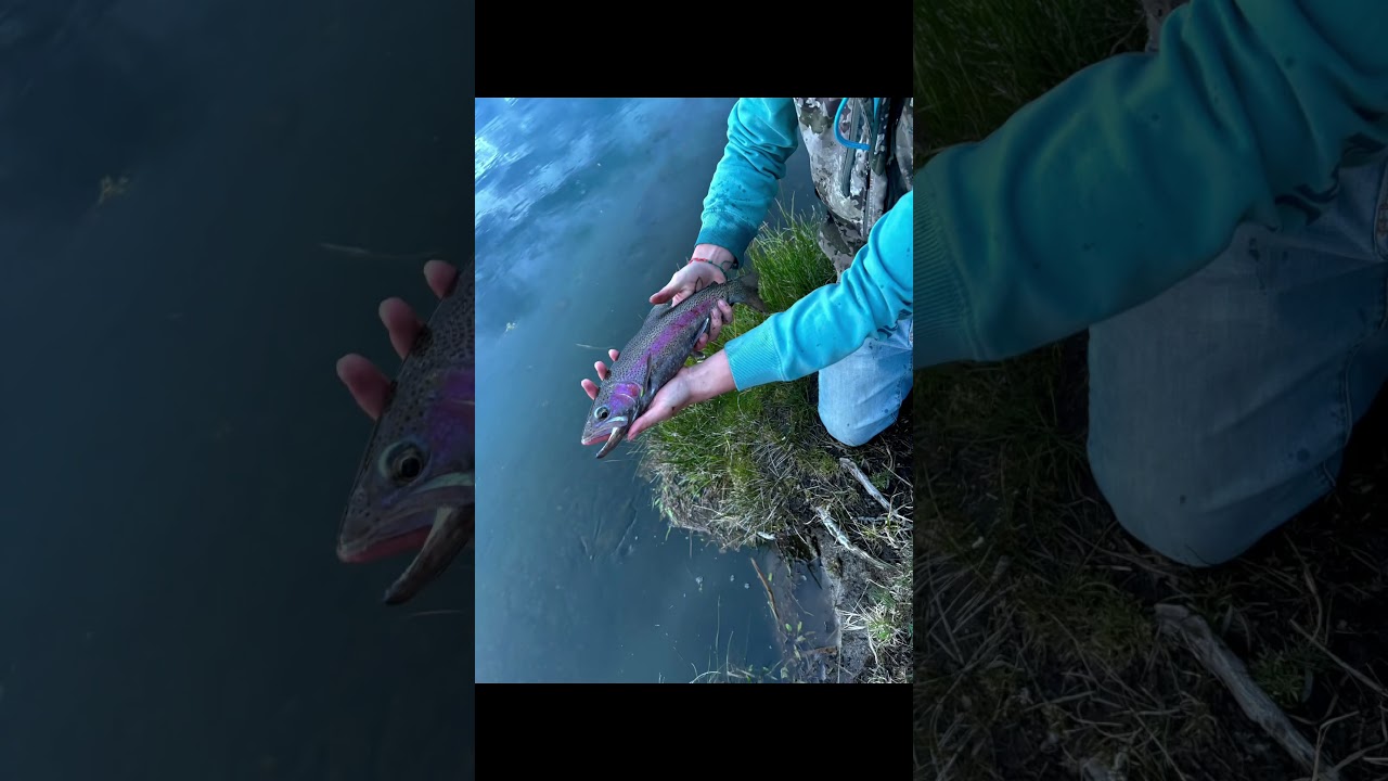 Blessed to be born and raised in the beautiful state of Idaho 