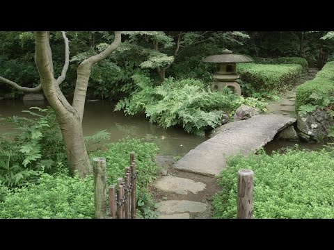 Video: ¿Le pones título a un haiku?