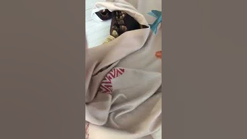 Our *NEW* Fleece Photography Backdrop (Single or Double Sided)