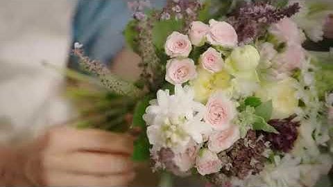 landscaping wordpress theme